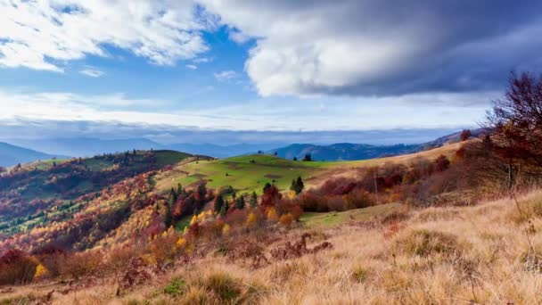 Time lapse Bellissima natura autunnale e nebbia nebbiosa scorre intorno alle montagne al mattino con luce mite. Stagione autunnale alla montagna dei Carpazi in Ucraina — Video Stock