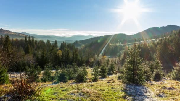 Solig skog tidigt på morgonen. Solen bryter igenom grenarna av första, bildar vackra strålar i luften. Gräs täckt med frost. Karpaterna i bergen. Ukraina — Stockvideo