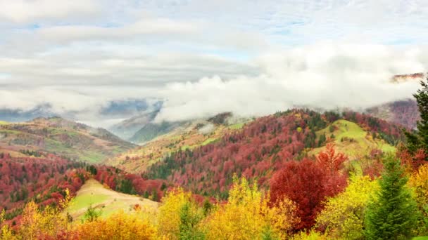 Clip temporel. Paysage montagneux coloré fantastique avec nuage. Ukraine, Carpates — Video