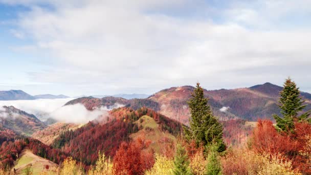 Maravilhosa paisagem de outono com céu azul bonito e nuvens majestosas Floresta Pôr do sol Bela Queda Estação Floresta Montanha Pôr do sol Laranja Cores Espiritualidade Inspiração Férias Conceito — Vídeo de Stock