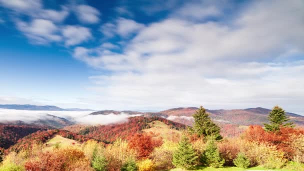 Maravilhosa paisagem de outono com céu azul bonito e nuvens majestosas Floresta Pôr do sol Bela Queda Estação Floresta Montanha Pôr do sol Laranja Cores Espiritualidade Inspiração Férias Conceito — Vídeo de Stock