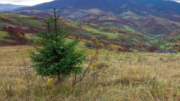 Spinka czasowa. Fantastyczny kolorowy górski krajobraz z chmurą. Ukraina, Karpaty — Wideo stockowe