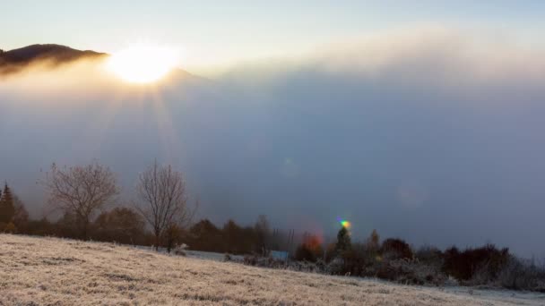 Zon komt op van achter de bergtop, mist beweegt en komt op in de zomerochtend in de bergen. Ochtendmist verdwijnt in de bergen Karpaten. Natuur landschap, natuur landschap, landelijke achtergrond — Stockvideo