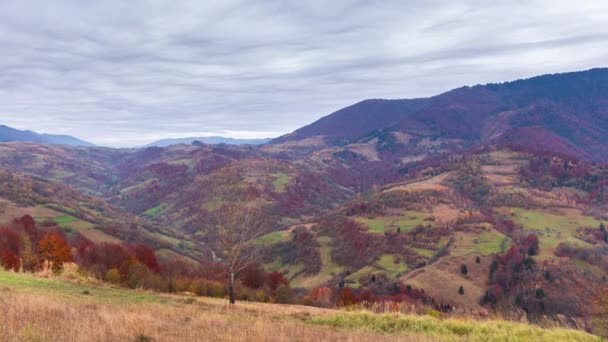 Time lapse Hermosa naturaleza otoñal y neblina fluye alrededor de las montañas por la mañana con suave sol. Temporada de otoño en la montaña Cárpatos en Ucrania — Vídeo de stock