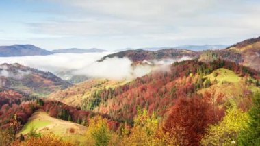 Muhteşem sonbahar manzarası güzel mavi gökyüzü ve görkemli bulutlar Orman Günbatımı Orman Ormanı Güzel Mevsim Ormanı Sunset Ormanı Turuncu Renkler Ruhsal İlham Tatil Kavramı