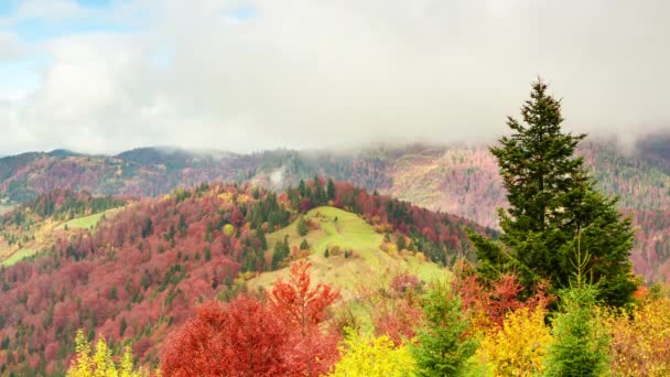 Clip temporel. Paysage montagneux coloré fantastique avec nuage. Ukraine, Carpates — Video