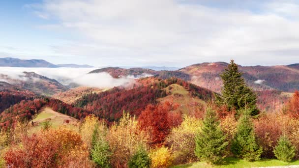 Muhteşem sonbahar manzarası güzel mavi gökyüzü ve görkemli bulutlar Orman Günbatımı Orman Ormanı Güzel Mevsim Ormanı Sunset Ormanı Turuncu Renkler Ruhsal İlham Tatil Kavramı — Stok video