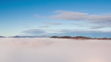 Sisteki alan. Soğuk kış sabahında tarlada donmuş çimenler. Çimenler beyaz buzla kaplıydı. Kışın başlangıcında. Soğuk güneşli bir sabah. Meadow 'da buz. Çayırdaki buz kristali