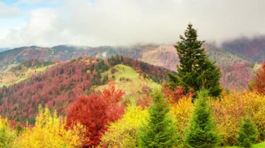 Zaman aşımı şarjörü. Bulutlu fantastik renkli dağ manzarası. Ukrayna, Karpat Dağları