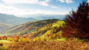 Muhteşem sonbahar manzarası güzel mavi gökyüzü ve görkemli bulutlar Orman Günbatımı Orman Ormanı Güzel Mevsim Ormanı Sunset Ormanı Turuncu Renkler Ruhsal İlham Tatil Kavramı