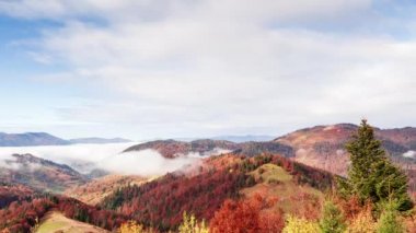 Muhteşem sonbahar manzarası güzel mavi gökyüzü ve görkemli bulutlar Orman Günbatımı Orman Ormanı Güzel Mevsim Ormanı Sunset Ormanı Turuncu Renkler Ruhsal İlham Tatil Kavramı