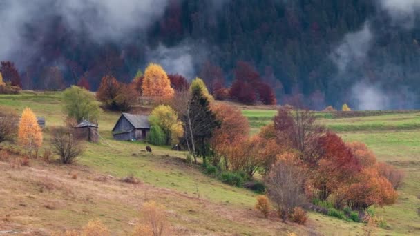 Tijdsverloop clip. Fantastisch kleurrijk berglandschap met wolk. Oekraïne, Karpaten — Stockvideo