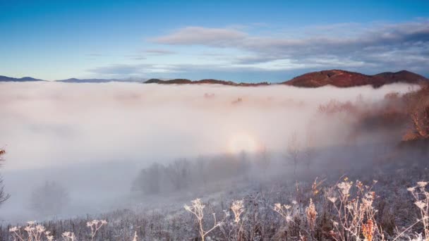 Champ dans le brouillard. Herbe gelée sur le terrain au matin froid d'hiver. Herbe couverte de givre blanc. Début de l'hiver. Matin givré et ensoleillé. Glace sur prairie. Cristal de glace sur une prairie — Video