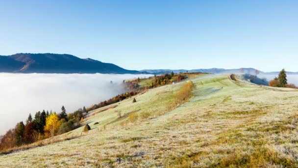 Gelo congelato sull'erba. Misterioso paesaggio montano in una nuvolosa mattina d'autunno. Splendida foresta nebbiosa negli altopiani. Sfondo naturale. Cielo blu sul paesaggio colorato — Video Stock