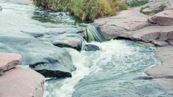 바위 위로 흐르는 아름다운 산의 강. 가까이에 있는 산에서 흐르는 물 — 비디오