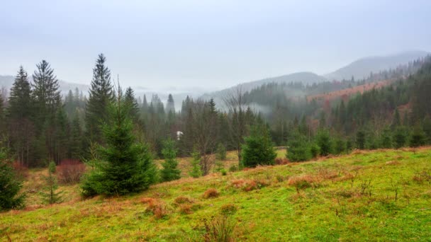 Ucrania, Cárpatos. Caducidad de la niebla matutina en las montañas de otoño. Paisaje con montañas nevadas y niebla corriendo. — Vídeos de Stock