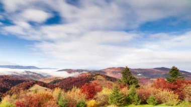 Muhteşem sonbahar manzarası güzel mavi gökyüzü ve görkemli bulutlar Orman Günbatımı Orman Ormanı Güzel Mevsim Ormanı Sunset Ormanı Turuncu Renkler Ruhsal İlham Tatil Kavramı