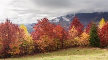 Zaman aşımı şarjörü. Bulutlu fantastik renkli dağ manzarası. Ukrayna, Karpat Dağları