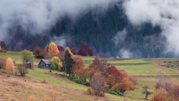 Tijdsverloop clip. Fantastisch kleurrijk berglandschap met wolk. Oekraïne, Karpaten — Stockvideo