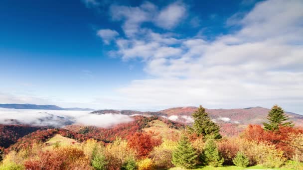 Maravilhosa paisagem de outono com céu azul bonito e nuvens majestosas Floresta Pôr do sol Bela Queda Estação Floresta Montanha Pôr do sol Laranja Cores Espiritualidade Inspiração Férias Conceito — Vídeo de Stock