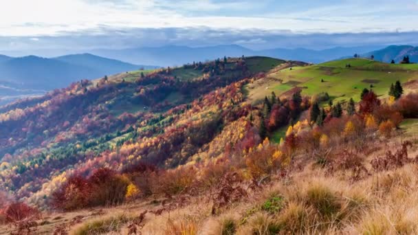 Lapso de tempo Bela natureza de outono e nevoeiro nevoeiro flui ao redor das montanhas pela manhã com luz solar suave. Temporada de outono na montanha dos Cárpatos na Ucrânia — Vídeo de Stock
