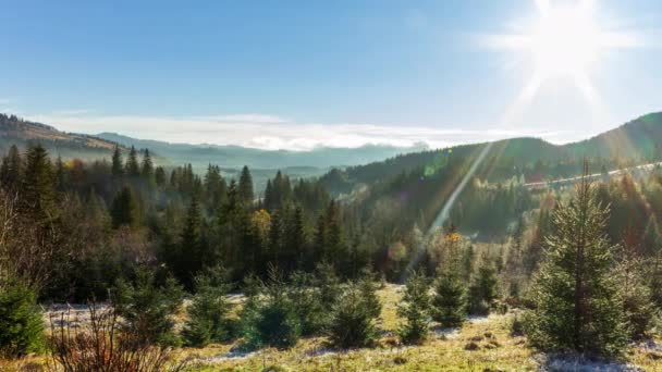 Solig skog tidigt på morgonen. Solen bryter igenom grenarna av första, bildar vackra strålar i luften. Gräs täckt med frost. Karpaterna i bergen. Ukraina — Stockvideo