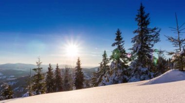 Dağlardaki güzel kış manzarası. Yükselen güneş, köknar ağacının karla kaplı dallarını delip geçer. Zemin ve ağaçlar kalın, yumuşak kar tabakalarıyla kaplı.