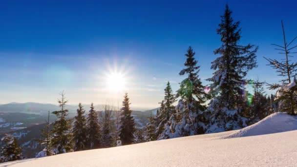 山中美丽的冬季风景.升起的太阳从覆盖在冷杉树枝上的雪中破晓而出。地面和树木覆盖着厚厚的一层新鲜蓬松的雪 — 图库视频影像