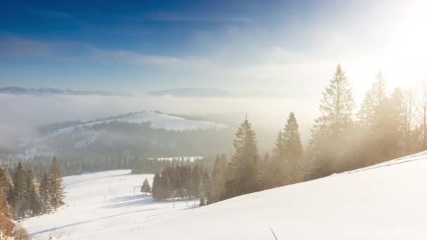 冬の山の森の空中で日の出。霜の多い誰も自然の風景。朝のガスでアルパインスノーが木々を覆っていました。自然の美しさを呼吸。日ピンクの光を上げる。松林. — ストック動画