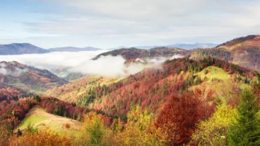 Muhteşem sonbahar manzarası güzel mavi gökyüzü ve görkemli bulutlar Orman Günbatımı Orman Ormanı Güzel Mevsim Ormanı Sunset Ormanı Turuncu Renkler Ruhsal İlham Tatil Kavramı