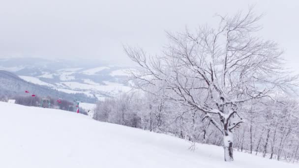 Słoneczny zimowy dzień. Ośnieżone góry. Narciarze, snowboardziści i turyści przyjechali na weekend w celach turystycznych. Szczęście. — Wideo stockowe