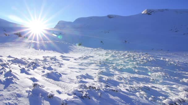 해질 녘에는 황금빛 태양 이 산에 닿습니다. 산에서의 겨울. 우크라이나 카르파티아 드라 고브 라트 — 비디오