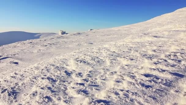 해질 녘에는 황금빛 태양 이 산에 닿습니다. 산에서의 겨울. 우크라이나 카르파티아 드라 고브 라트 — 비디오
