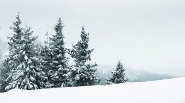 Karla kaplı ağaçlarla kaplı güzel kış manzarası