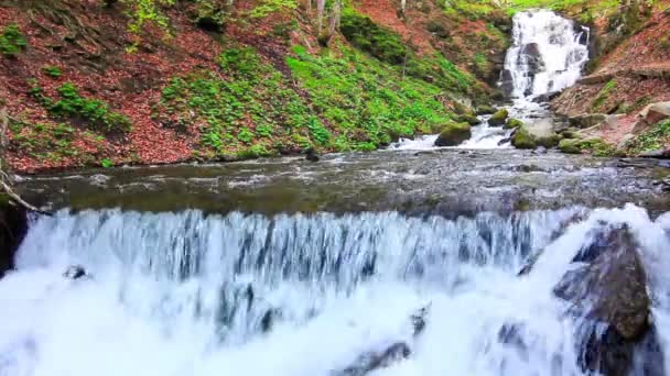 Wonderland. Prachtige waterval in mysterie bos. — Stockvideo