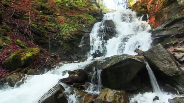 Wonderland. Prachtige waterval in mysterie bos. — Stockvideo