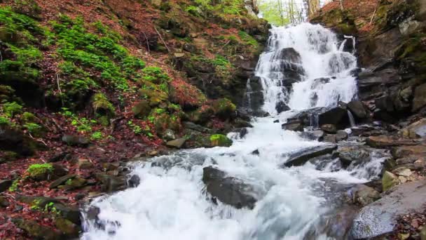 Wonderland. Prachtige waterval in mysterie bos. — Stockvideo