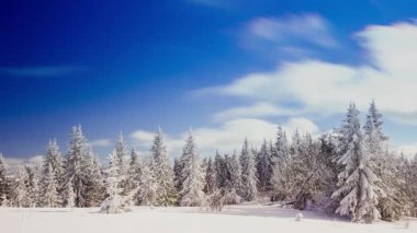 Yüksek çayırlı kış manzarası ve dağlarda kar