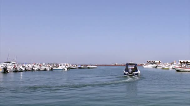 Ria formosa sulak alanların korunması bölge peyzaj, algarve, Güney Portekiz bulunan culatra Adası bağlantı noktası, — Stok video