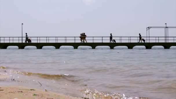 Culatra island hamnen, ligger i ria formosa våtmarker bevarande region landskap, algarve, södra portugal — Stockvideo