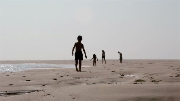 Silhouettes de jeunes familles, marche dans les zones humides de Ria Formosa, paysage naturel de la région de conservation, Algarve, Sud du Portugal . — Video