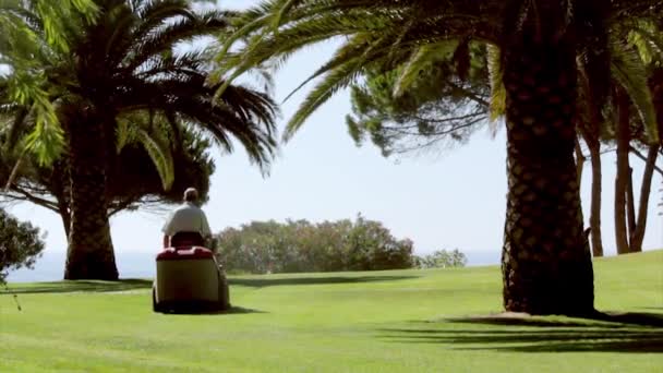 Ride-on lawn mower, gardening activity — Stock Video