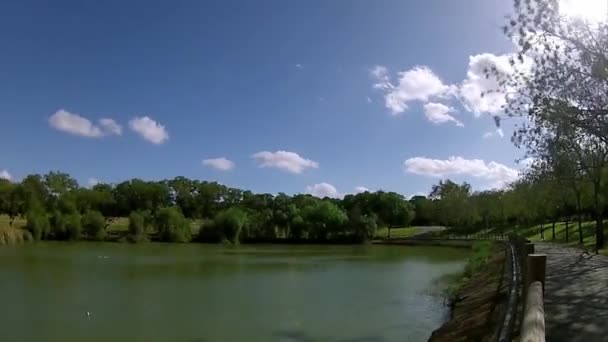 Miraflores içinde Seville, kuzeyinde yer Park Seville tek doğal Gölü şehir, meyve bahçeleri kalıntıları ile ve bitkileri hala ayaktadır. — Stok video