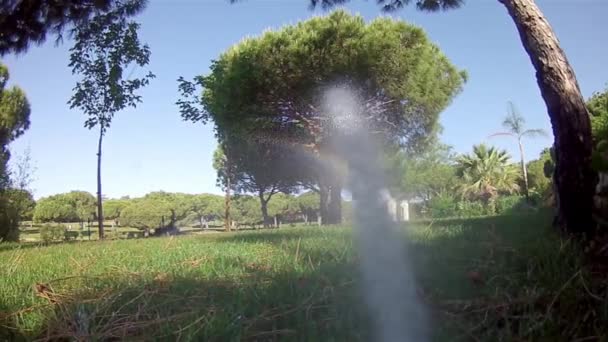 Garden Irrigation Sprinkler watering lawn (Point of View footage) — Stock Video