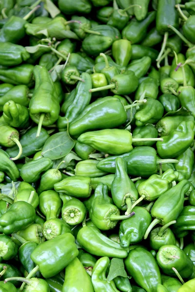 Verse organische paprika achtergrond, foto genomen op lokale boerderij — Stockfoto