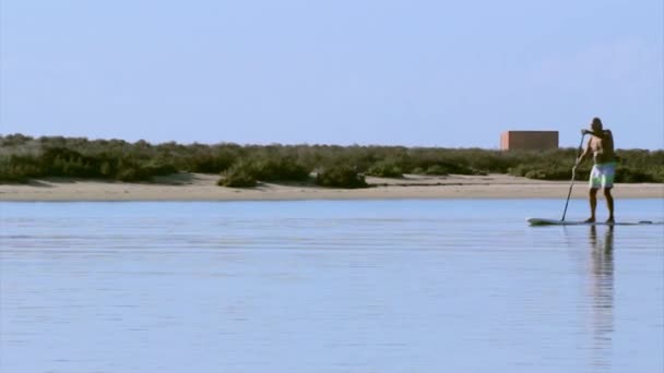 Ria Formosa 湿地帯自然環境保全地域の景観、アルガルヴェ、ポルトガル南部で Fuseta でカヌーを漕ぐ人のシルエット. — ストック動画