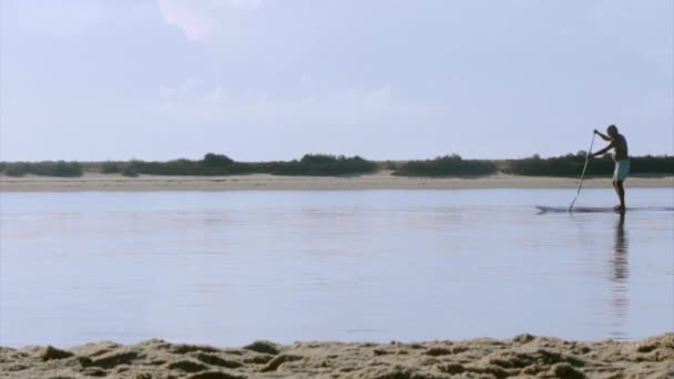 Silhueta Paddler em Fuseta, na região húmida da Ria Formosa paisagem da região de conservação natural, Algarve, sul de Portugal . — Vídeo de Stock