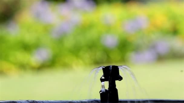 Giardino irrigazione bubbler annaffiatoio vaso di fiori — Video Stock