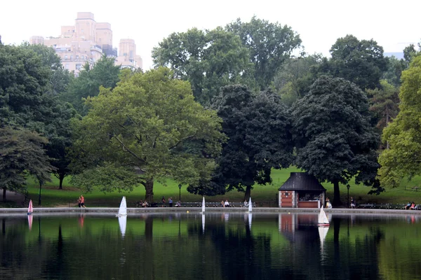 Central Park em um dia nublado outono. Cidade de Nova Iorque — Fotografia de Stock