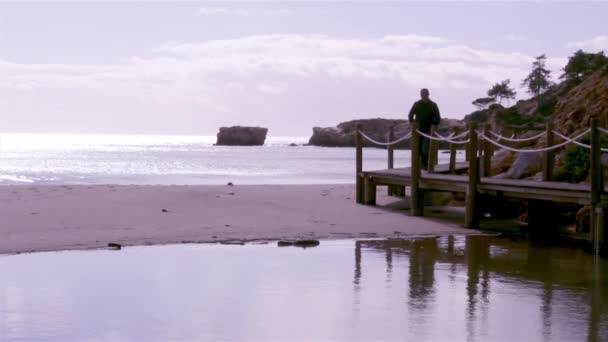 Algarve - westelijke Atlantische kust St. Eulalia strand wandelpad — Stockvideo